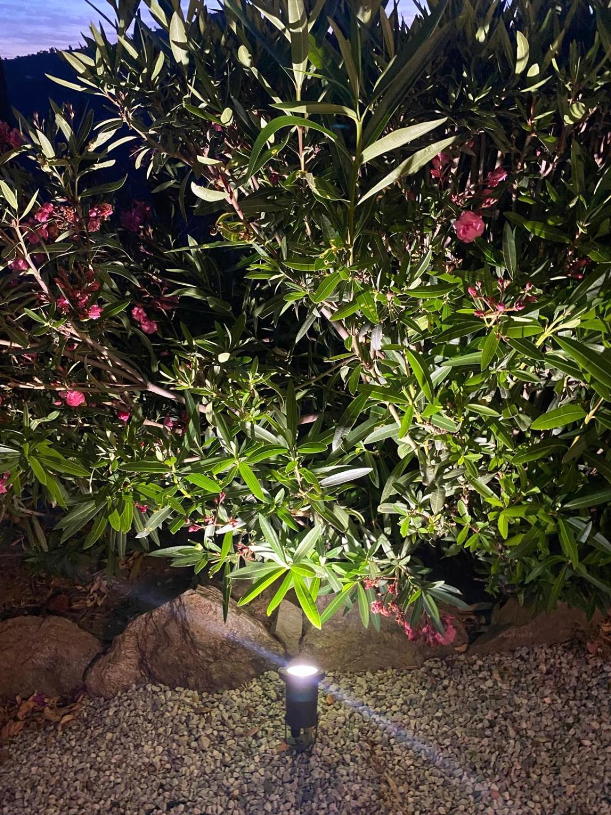 Holiday home Angelita Torrox